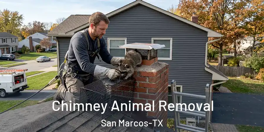  Chimney Animal Removal San Marcos-TX